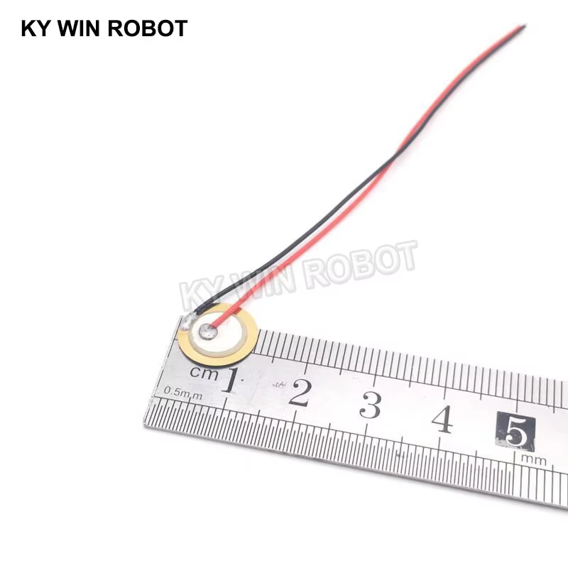 10 Buah Pelat Wafer Keramik Pi - Diy Electronic ulasan dan harga